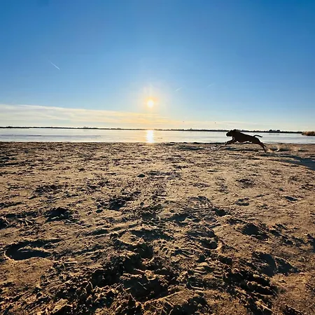 Dom wakacyjny Kuestenglueck